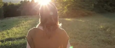 Le météore / The Meteor (2013)