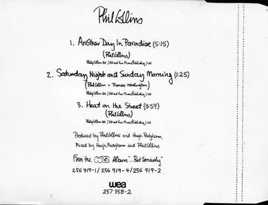 Phil Collins - Another Day In Paradise (Germany CD5) (1989) {Virgin}