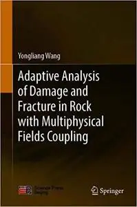 Adaptive Analysis of Damage and Fracture in Rock with Multiphysical Fields Coupling