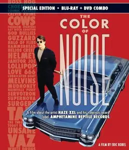 The Color of Noise (2015)