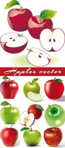 Apples - big vector collection