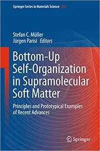 Bottom-Up Self-Organization in Supramolecular Soft Matter: Principles and Prototypical Examples of Recent Advances