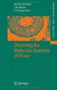 Dissecting the Molecular Anatomy of Tissue