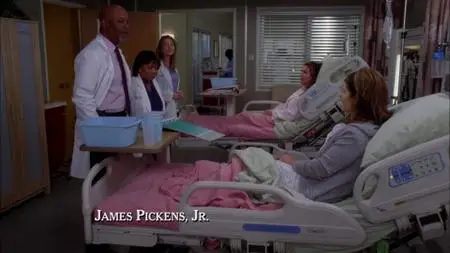 Grey's Anatomy S08E12