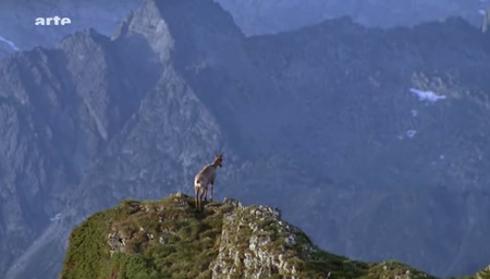(Arte) La face sauvage des Pyrénées (2010)