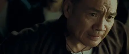 The Grandmaster (2013)