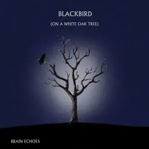 Brain Echoes - Blackbird (On A White Oak Tree) (2021)