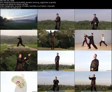 Tai Chi Ball Qigong 1 & 2 (2006)