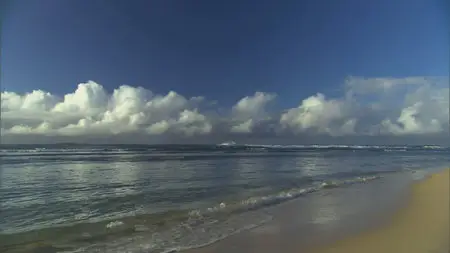 HDScape: HD Window - Hawaii / HDScape: Гавайи (2005)