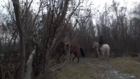 Alaska: The Last Frontier S07E15