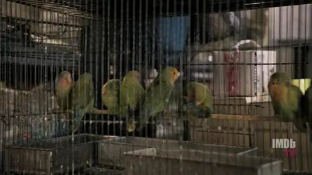 Bug Out S01E03