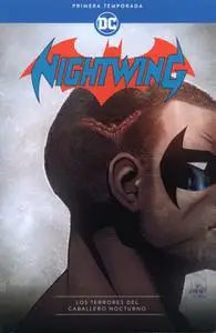 Nightwing 21 (de 34) Primera Temporada - Los Terrores del Caballero Nocturno