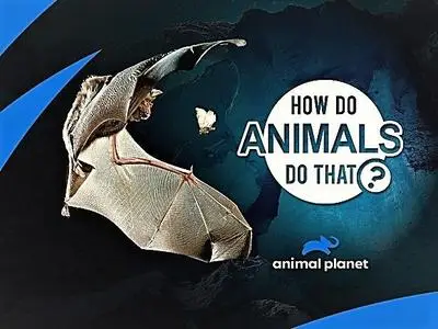 Animal Planet - How Do Animals Do That? Series 2 (2019)