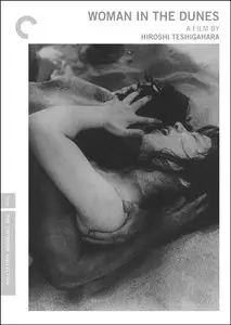 Woman In The Dunes (1964)