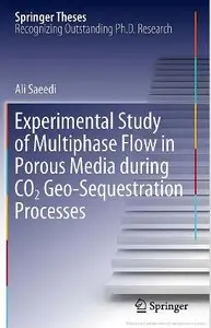 Experimental Study of Multiphase Flow in Porous Media during CO2 Geo-Sequestration Processes