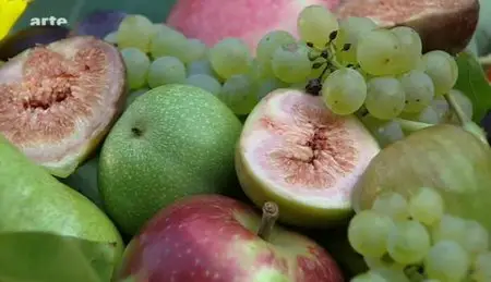 (Arte) La figue, fruit du paradis (2012)