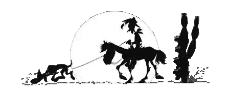 Deadwood Dick 3. Black Hat Jack