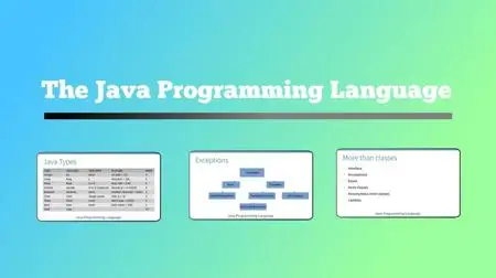 The Java Programming Language