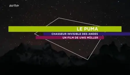 (Arte) Le puma, chasseur invisible des Andes (2012)