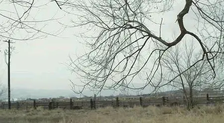 Find Me (2014)