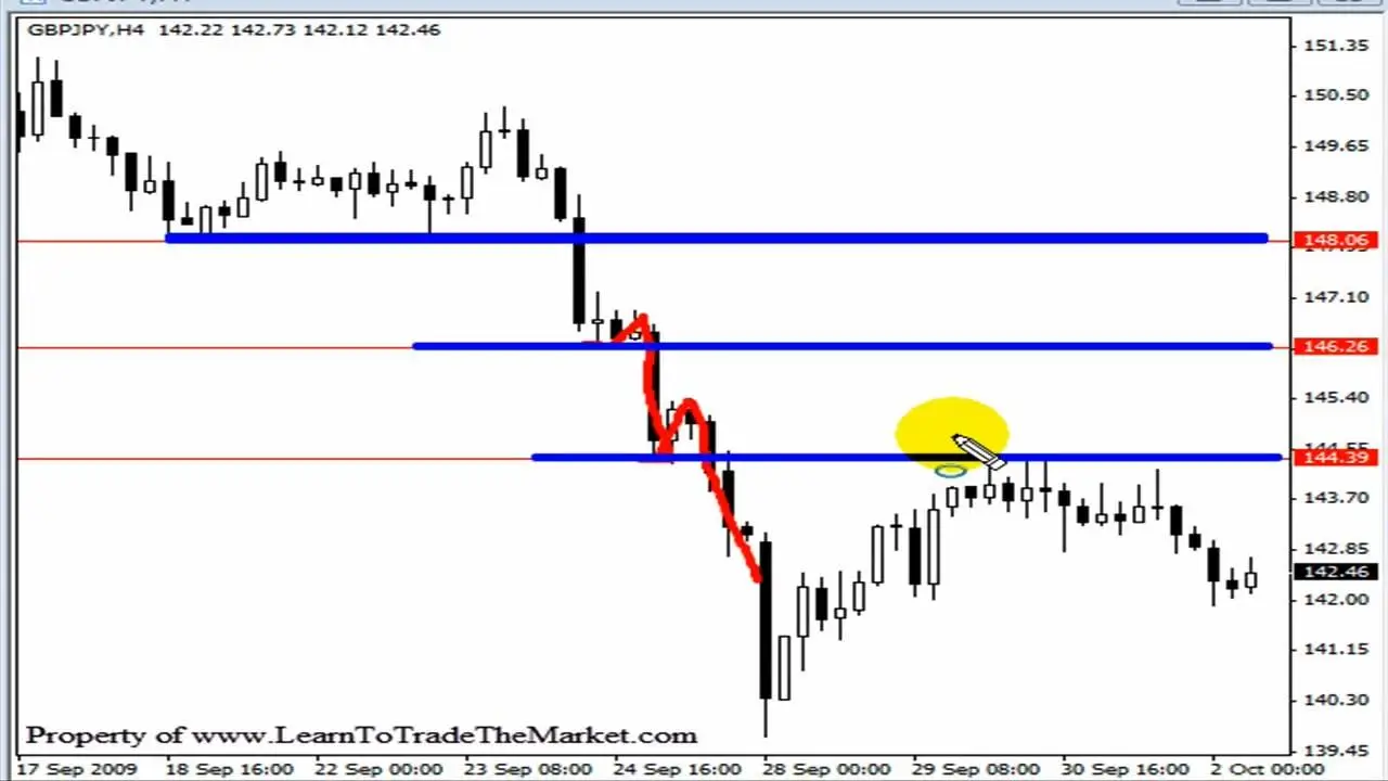 Best forex price action course