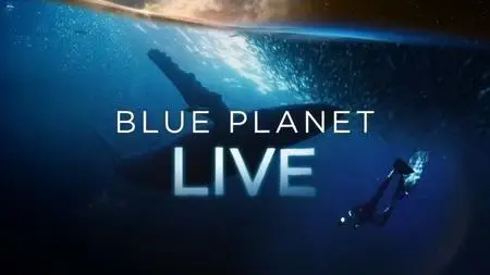BBC - Blue Planet Live (2019)