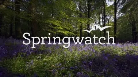 BBC - Springwatch (2020)