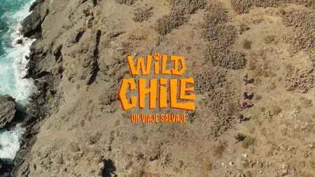 Nedo Films - Wild Chile: Series 1 (2018)