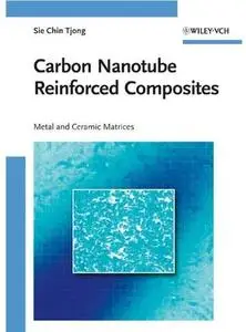 Carbon Nanotube Reinforced Composites: Metal and Ceramic Matrices