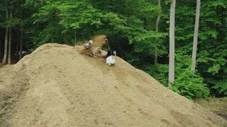 Nitro Circus: The Movie (2012)