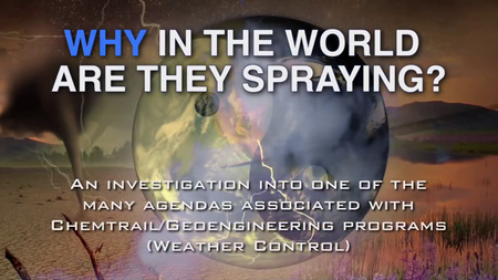 WHY in the World Are They Spraying? (2012)