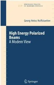 High-Energy Polarized Proton Beams [Repost]