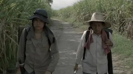 La tierra y la sombra / Land and Shade (2015)