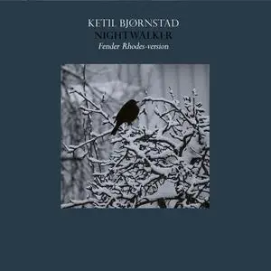 Ketil Bjørnstad - Nightwalker (Fender Rhodes Version) (2023) [Official Digital Download 24/48]