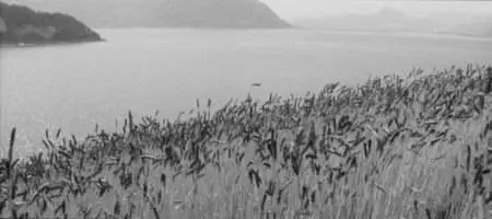 Kaneto Shindô-Hadaka no shima ('Naked Island') (1960)