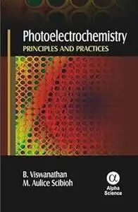 Photoelectrochemistry: Principles and Practices