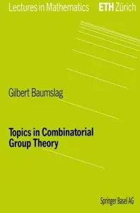 Topics in Combinatorial Group Theory (Repost)