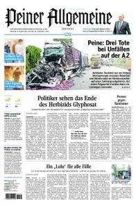 Peiner Allgemeine Zeitung - 14. August 2018