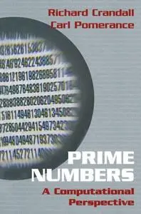 Prime Numbers: A Computational Perspective