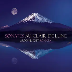 Paul Anthony Adams - Sonates au Clair De Lune [Moonlight Sonata] (2014)