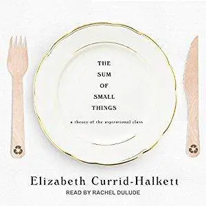 The Sum of Small Things: A Theory of the Aspirational Class [Audiobook]