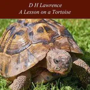 «A Lesson on a Tortoise» by David Herbert Lawrence