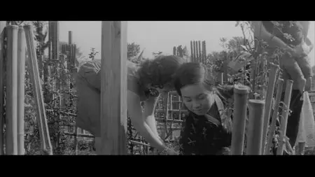 The Insect Woman (1963) + Nishi Ginza Station (1958) [Masters of Cinema #22] [Re-UP]