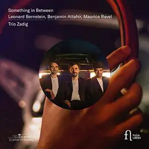 Trio Zadig - Something in Between (2019) [Official Digital Download 24/96]