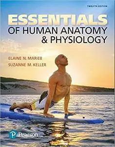 Essentials of Human Anatomy & Physiology, 12th Edition (repost)