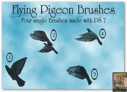 Flying Pigeons Brushes