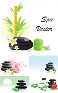 Spa Vector