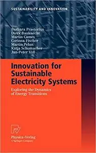 Innovation for Sustainable Electricity Systems: Exploring the Dynamics of Energy Transitions