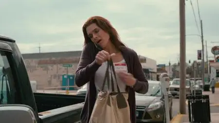 The Hot Flashes (2013)