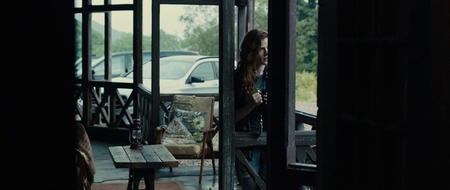 Morgan (2016)